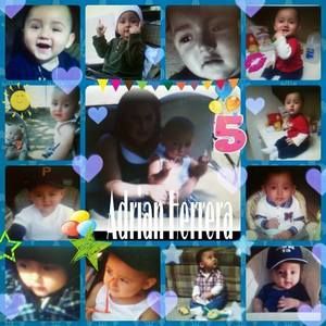 Meet your Posher, Celina